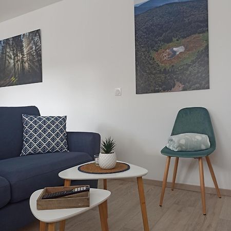Chalet Kelly, Centre Ville / Jacuzzi / Sauna Gerardmer Bagian luar foto