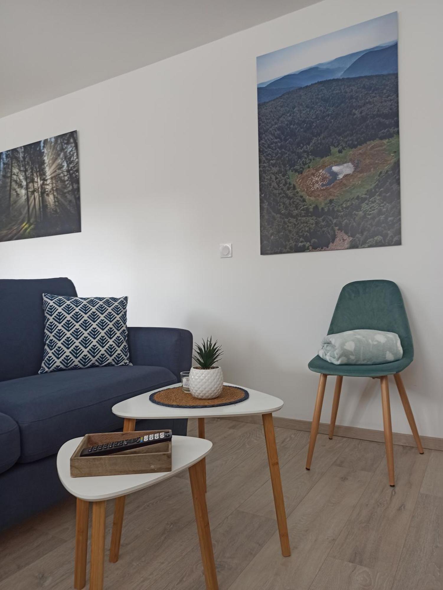 Chalet Kelly, Centre Ville / Jacuzzi / Sauna Gerardmer Bagian luar foto